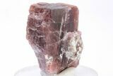 1.6" Rare, Red Villiaumite Crystal - Murmansk Oblast, Russia - #195318-1
